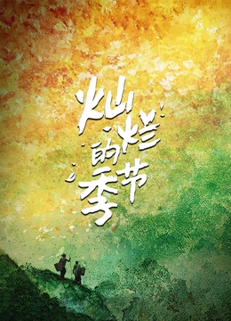 灿烂的季节(全集)