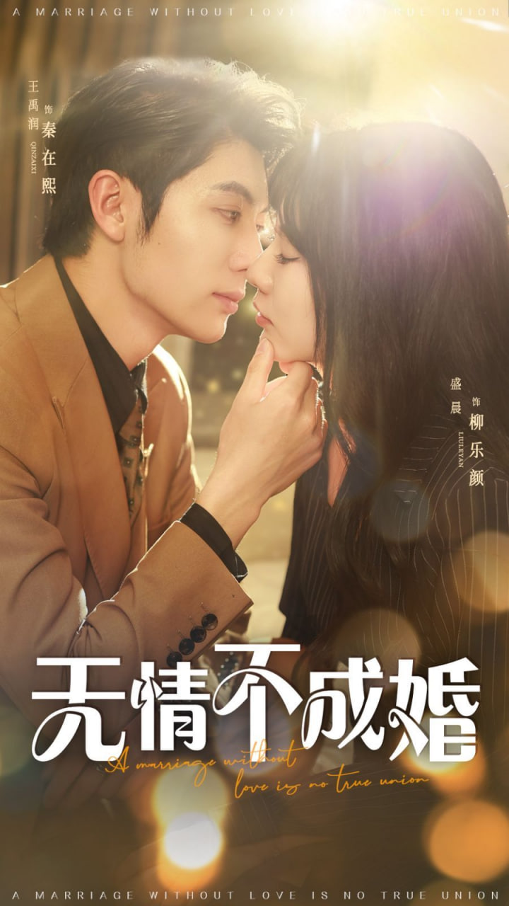 无情不成婚(全集)