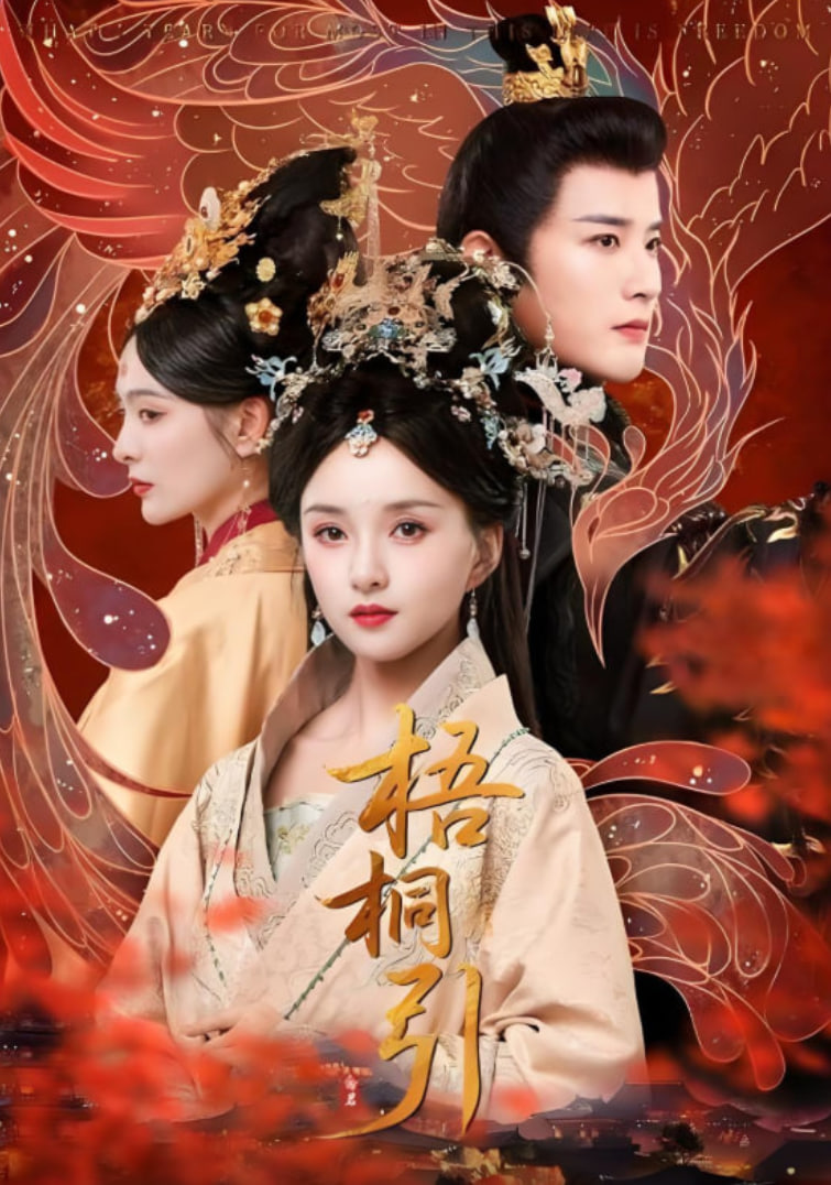 梧桐引(全集)