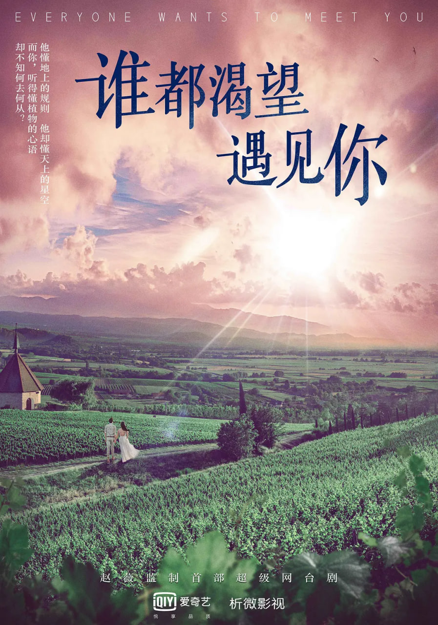 谁都渴望遇见你(全集)