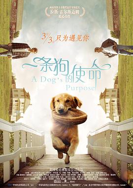 一条狗的使命2(全集)