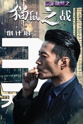 反诈风暴之情爱迷局(全集)