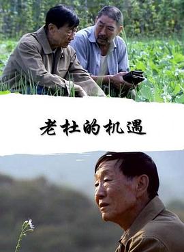 老杜的机遇(全集)