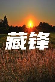 藏锋(全集)