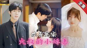 大叔的小娇妻(全集)
