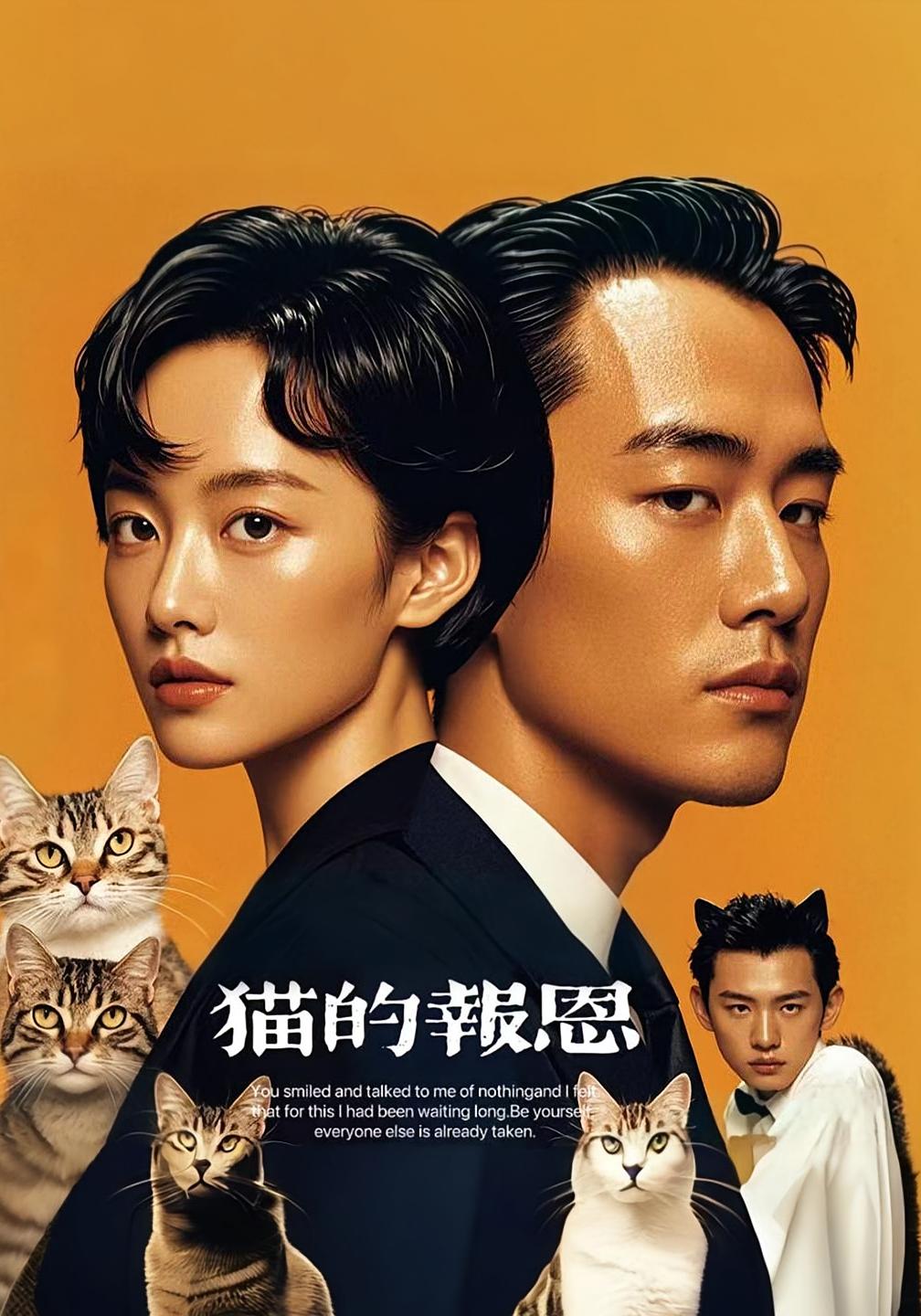 猫的报恩(全集)